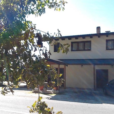 Agrihotel Papaya San Pietro Apostolo 外观 照片