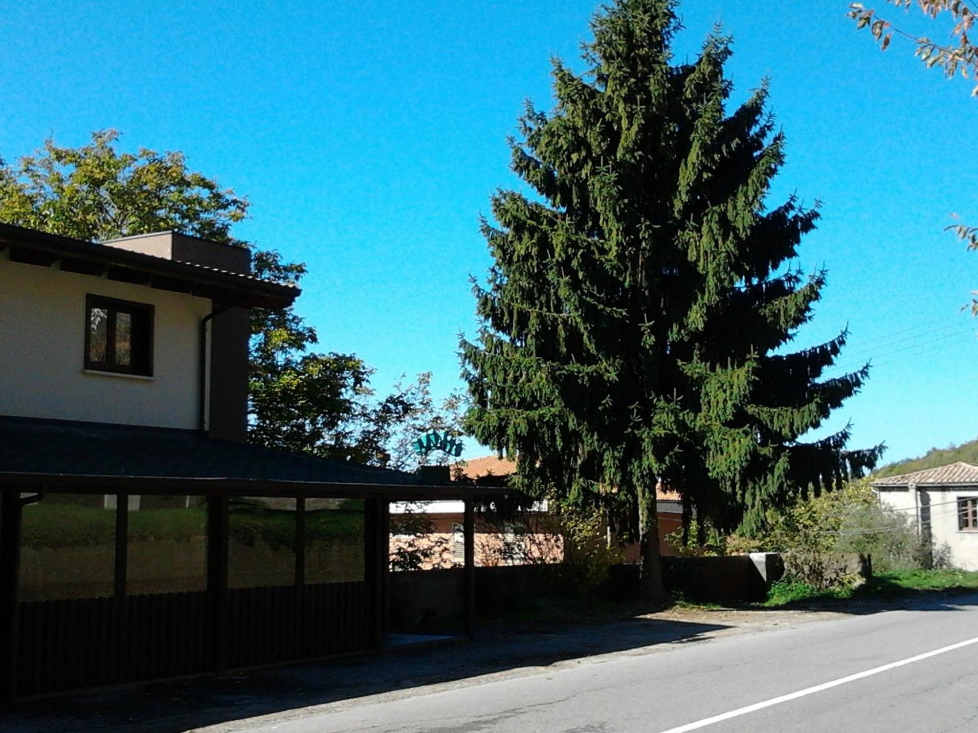 Agrihotel Papaya San Pietro Apostolo 外观 照片