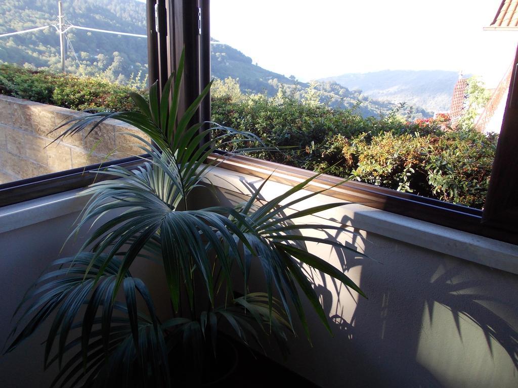 Agrihotel Papaya San Pietro Apostolo 外观 照片